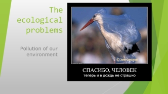 The ecological problems. Pollution of our environment