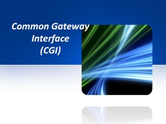 Common Gateway Interface (CGI)