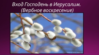 Вход Господень в Иерусалим. (Вербное воскресение)