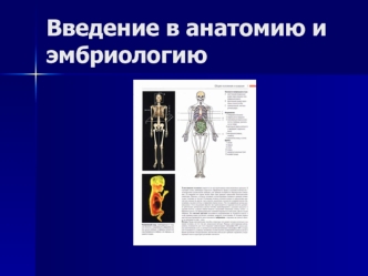 Введение в анатомию и эмбриологию. Методы анатомических исследований