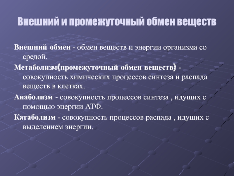 Внешний обмен. Промежуточный обмен веществ. Внешний и промежуточный обмен веществ. Процессы промежуточного обмена. Внешний обмен метаболизм.