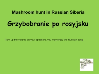 Mushroom hunt in Russian Siberia