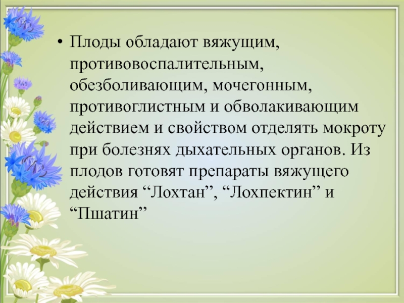 Цветок обладающий силой. Вяжущие лекарственные растения. Лекарственные растения обладающие вяжущим действием. Вяжущим действием обладают. Лекарственные растения вяжущего действия.