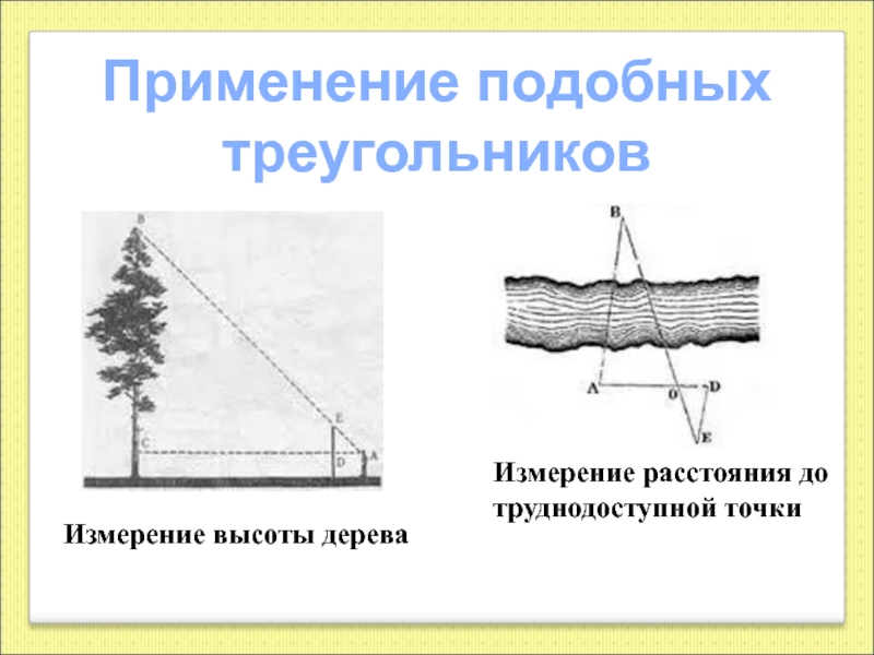 Аналогичные измерения. Применение подобия треугольников в жизни. Измерение высоты дерева. Определение высот труднодоступных точек. Применение подобия треугольников определение расстояния до точки.