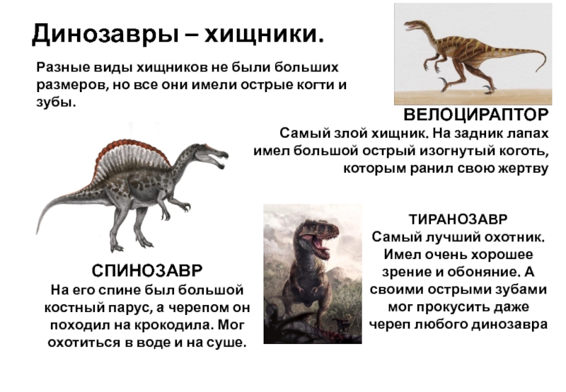 Динозавры Виды Фото