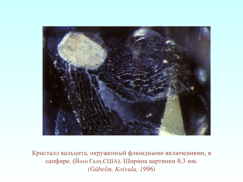 Кристалл кальцита, окруженный флюидными включениями, в сапфире. (Його Галч,США). Ширина картинки