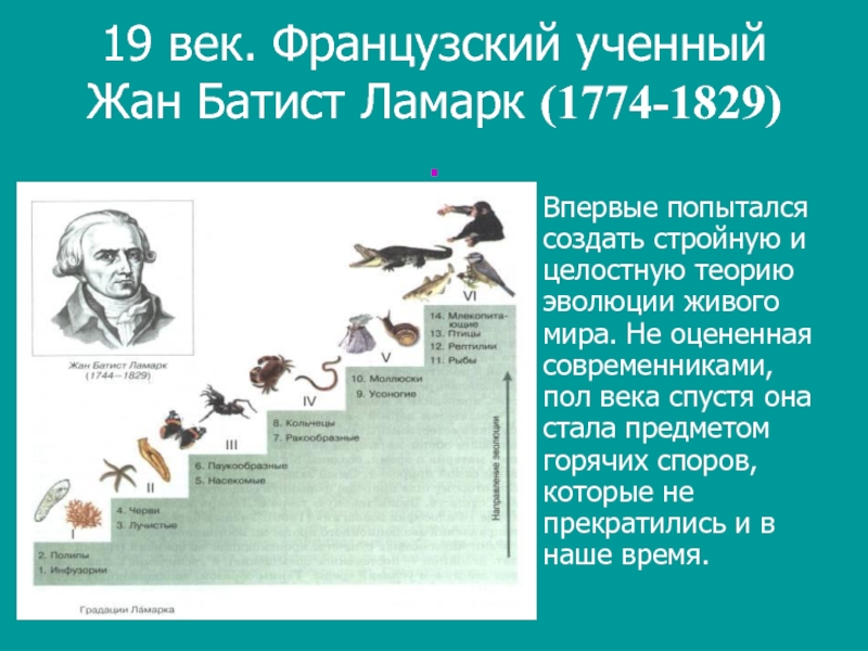 Биология история развития органического мира 9 класс презентация