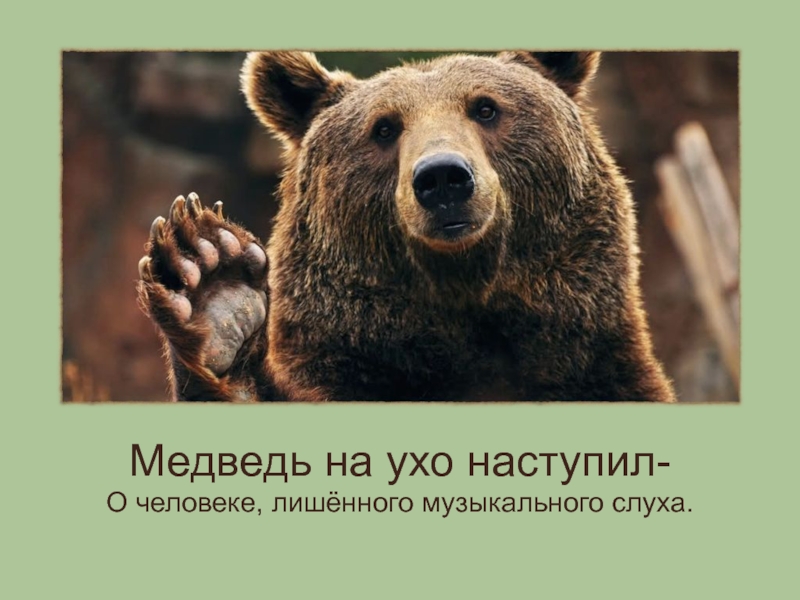 Медведь на ухо наступил значение предложение. Медведь на ухо наступил. Уши медведя. Медведь на ухе. Медведь на ухо наступил картинка.