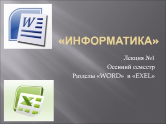 Информатика. Разделы word и exel