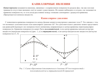 Капиллярные явления