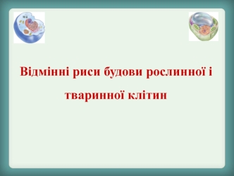 Відмінні риси будови рослинної і тваринної клітин