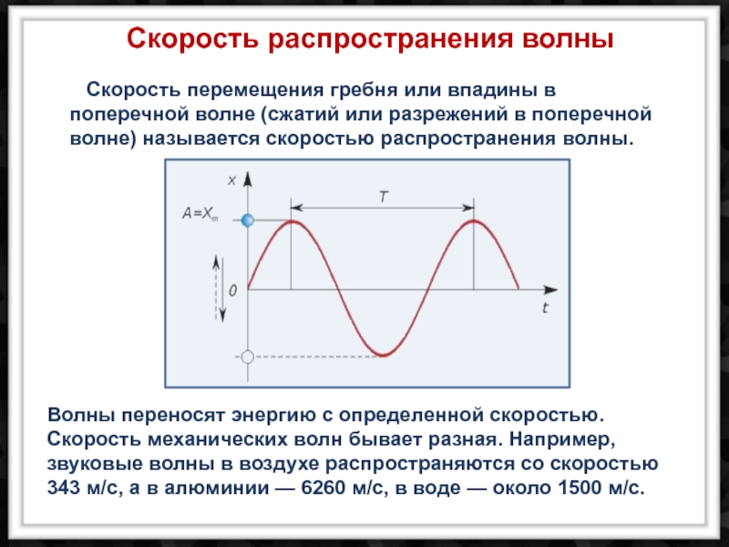 На рисунке представлен профиль поперечной бегущей волны которая распространяется со скоростью 200