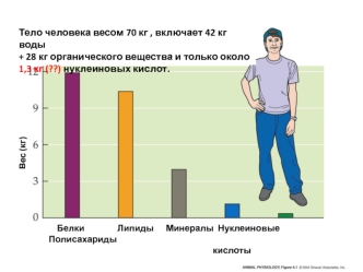 Lektsia_9_Metody_issledovania_DNK_i_RNK