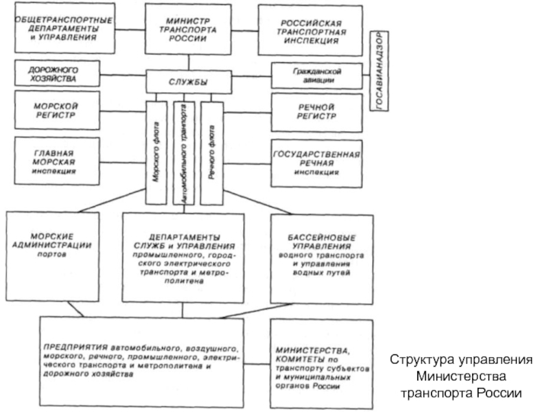 Контрольная работа по теме Комплексный исследование структуры рынка транспортных услуг в Витебске