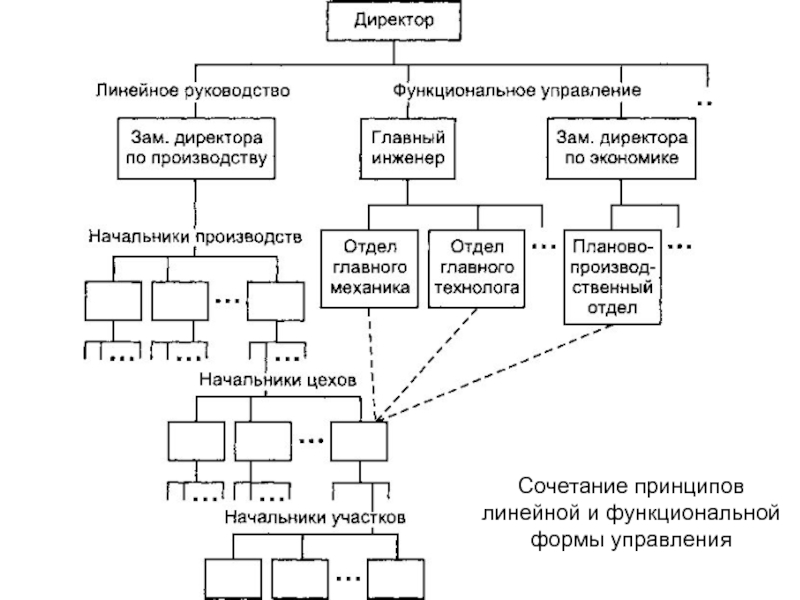 Основы организации управления. Линейная форма управления. Линейное функциональное руководство это. Линейные формы и функционалы. Алогичная форма управления.