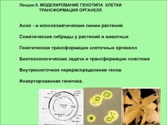 Лекция 9. МОДЕЛИРОВАНИЕ ГЕНОТИПА  КЛЕТКИ 
                 ТРАНСФОРМАЦИЯ ОРГАНЕЛЛ 


Алло - и изоплазматические линии растений

Соматические гибриды у растений и животных

Генетическая трансформация клеточных органелл

Биотехнологические задачи и трансфор