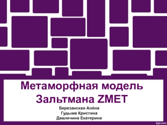 Метаморфная модель Зальтмана ZMET