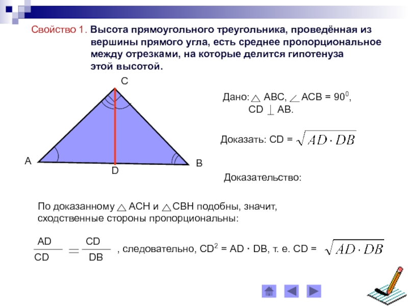Отношение высоты к гипотенузе. Свойство высоты прямоугольного треугольника проведенной из вершины. Высота треугольника из вершины прямого угла. Высота в прямоугольном треу. Высота к гипотенузе в прямоугольном треугольнике.
