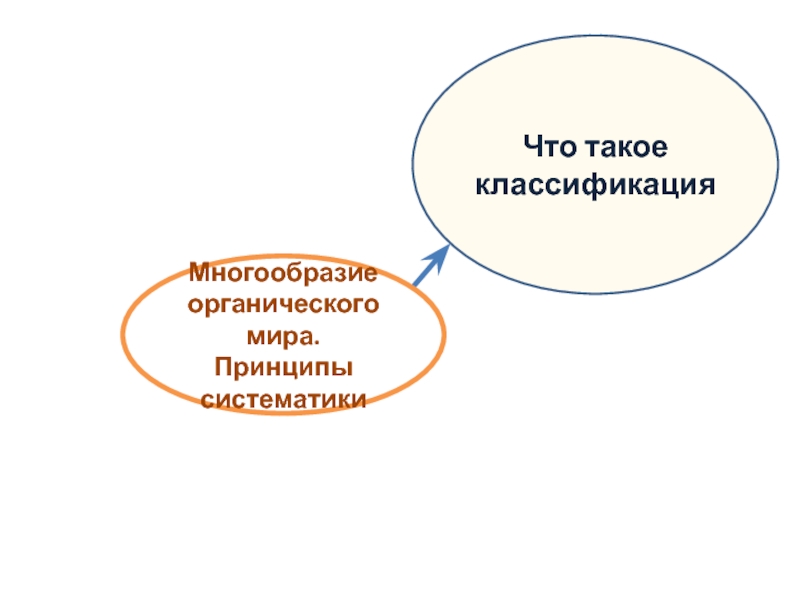 Принципы систематики презентация