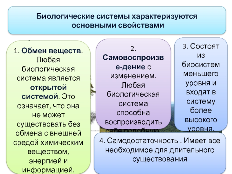 Систему характеризуют