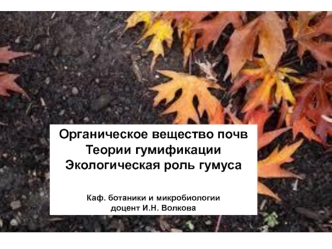 Органическое вещество почв. Теории гумификации. Экологическая роль гумуса