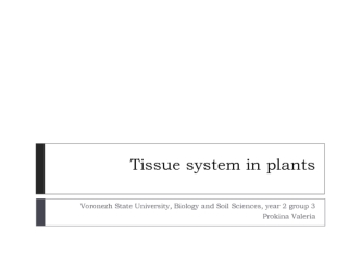 Tissue system in plants