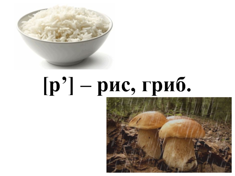 Рис воняет. Рис с грибами. Грибы рис 35. Рис грибы тесто. Запах риса гриба.
