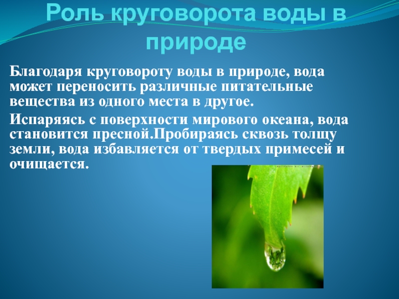 Благодаря круговороту веществ. Роль круговорота воды в природе. Важность круговорота воды в природе. Какова роль круговорота воды в природе. Каково значение круговорота воды в природе.