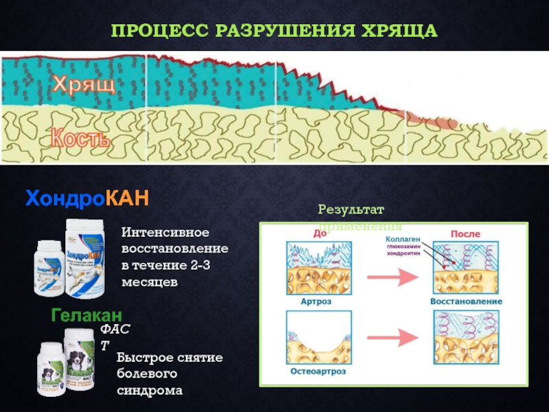 Процесс 24. Разрушительные процессы. Скрининг процессов разрушения хряща. Процесс разрушения и удаления пород суши. Как называется процесс разрушения и удаления пород суши.