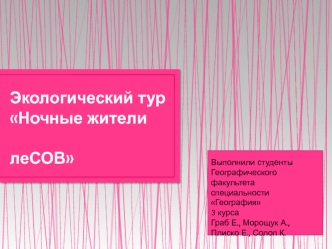 Наблюдение за птицами. Ночные жители лесов