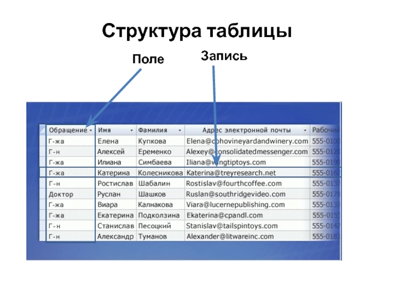 Структура данных таблица. Базы данных.системы управления базами данных таблица. Система управления базами данных таблица. Как выглядит структура таблицы. Структура таблицы базы данных.