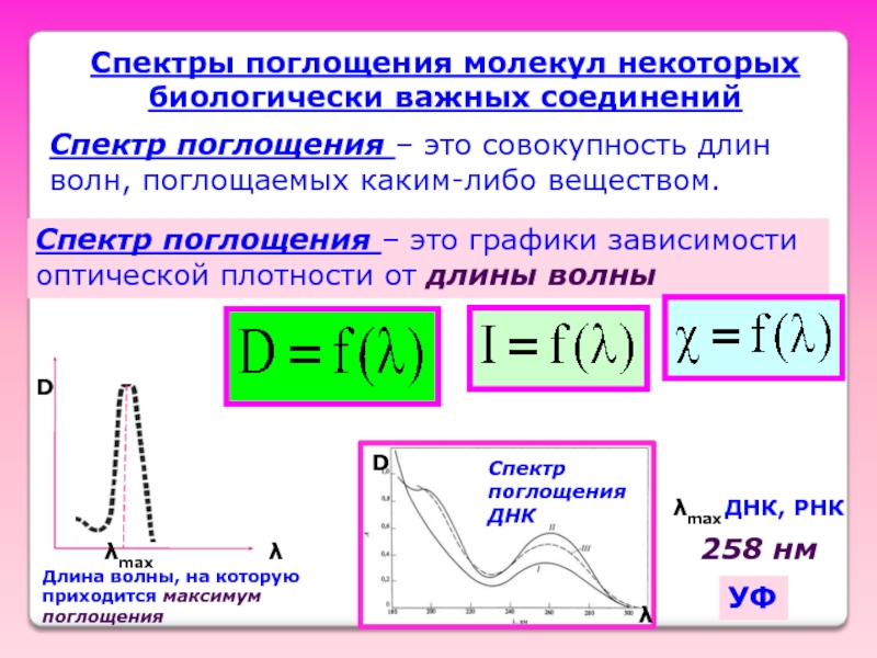 Оптическая длина волны. Спектры поглощения молекул некоторых биологически важных соединений. Оптическая плотность от длины волны. Спектр поглощения. График зависимости поглощения от длины волны.