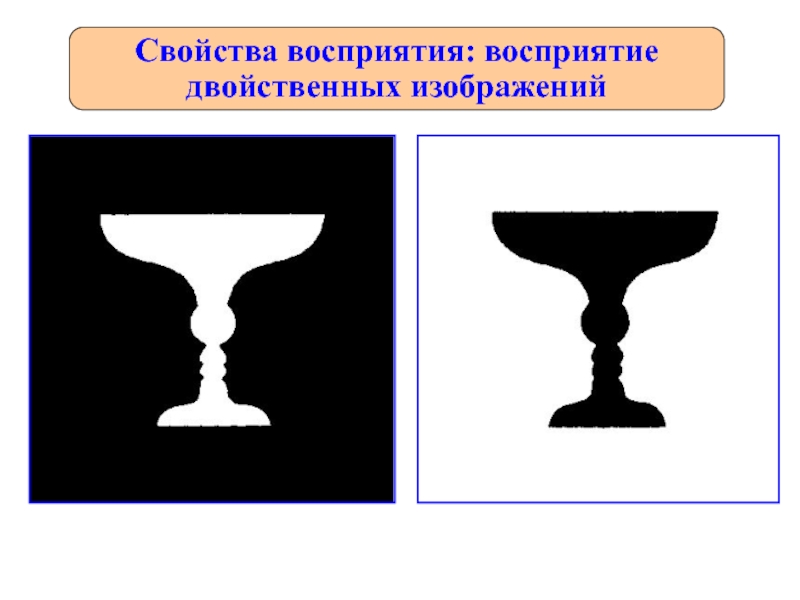 Перцептивное восприятие. Практическая работа «восприятие двойственных изображений» 9 к.