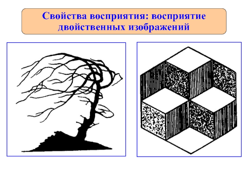 Рассмотрите рисунок с двойственными изображениями и укажите в чем проявляется