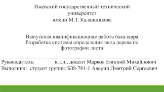 Разработка системы определения вида дерева по фотографии листа