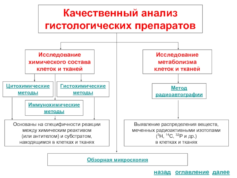 Гистохимические методы исследования презентация