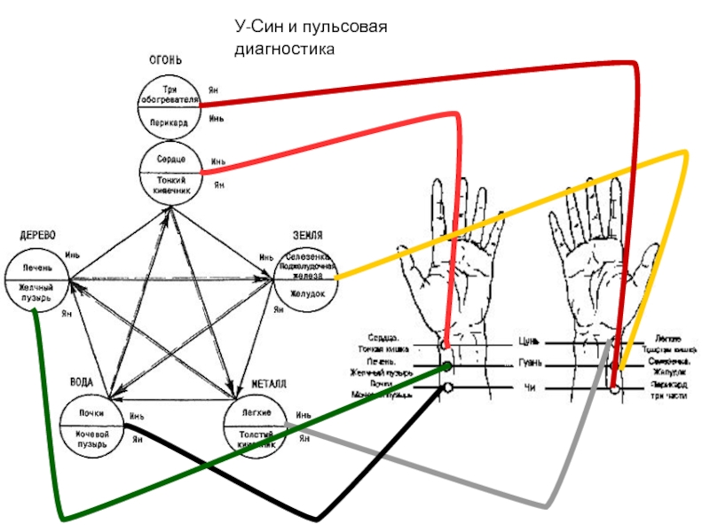 Пульсовая диагностика картинки