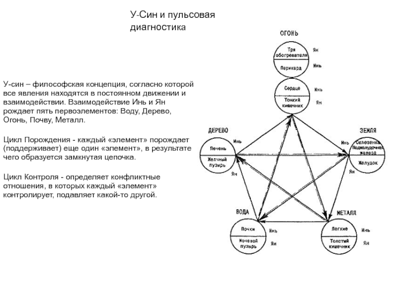 У син схема