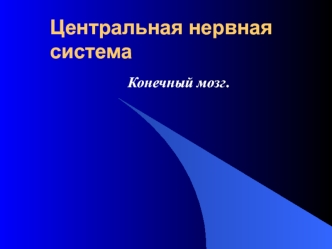 Центральная нервная система. Конечный мозг