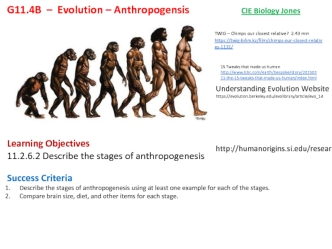 Evolution – Anthropogensis