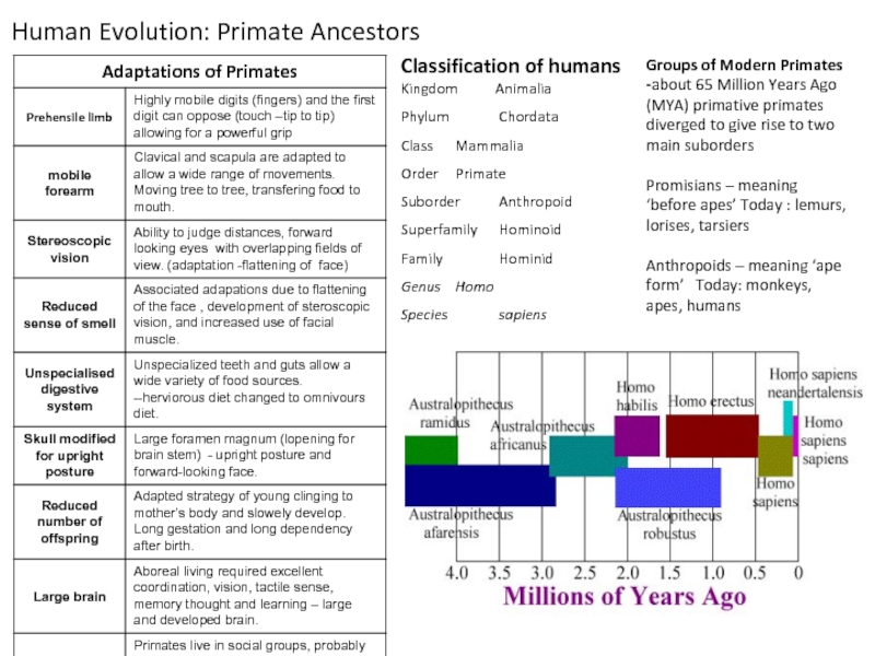 Реферат: Evolution Essay Research Paper For years scientists