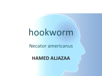 What is hookworm?