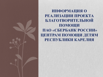 РеализацииРеализация проекта благотворительной помощи ПАО Сбербанк России центрам помощи детям Республики Карелия