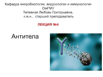 Антитела -2018