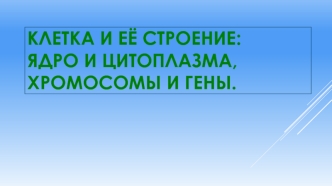 Клетка и её строение: ядро и цитоплазма, хромосомы и гены