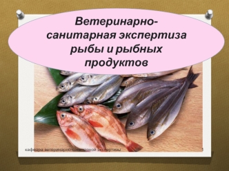 Ветеринарно-санитарная экспертиза рыбы и рыбных продуктов