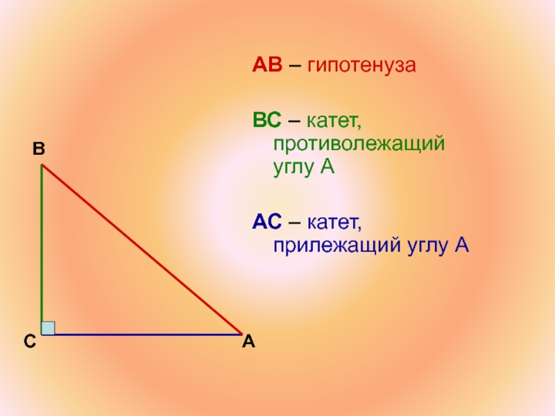 Найдите катет вс