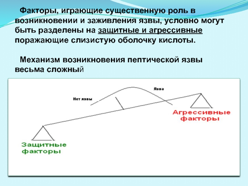 Контроль динамики заживления язвы. Абиотик фактор игра.