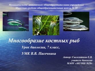 Многообразие костных рыб