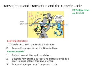 Transcription and Translation and the Genetic Code